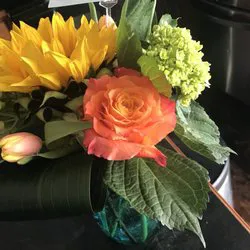 Epiphany Dermatology Picture 2