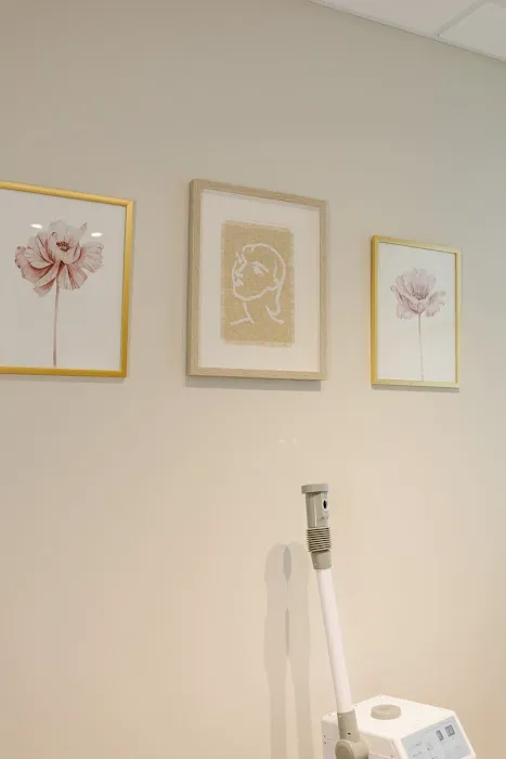 Lauren’s Aesthetics LLC Picture 4