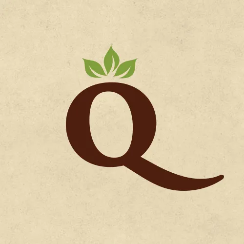 Q Skincare Lounge Picture 2