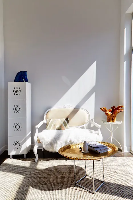 Lustre Skin Boutique Picture 5