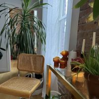 Healer Holistic Skincare ico