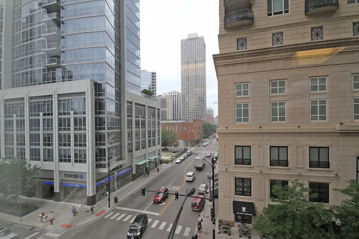 Regeneveda Chicago Picture 3