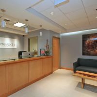 Regeneveda Chicago ico