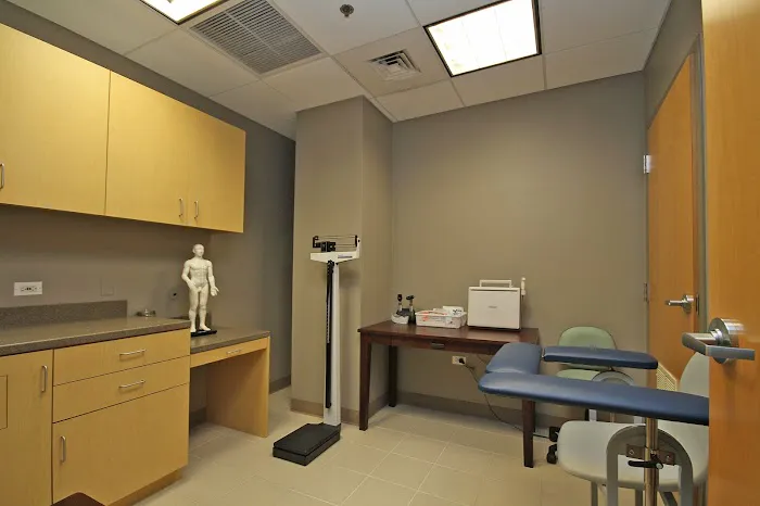 Regeneveda Chicago Picture 4