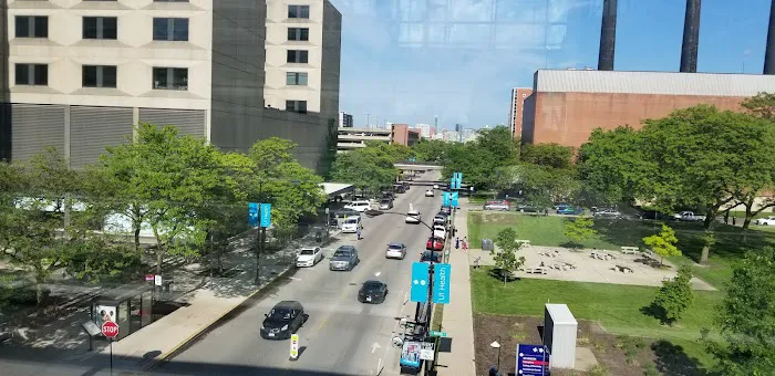 Elegant Dermatology Picture 2