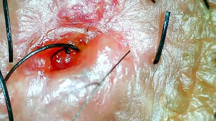 Dr. Barber Chicago Picture 2