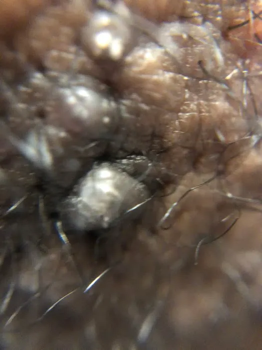 Dr. Barber Chicago Picture 6