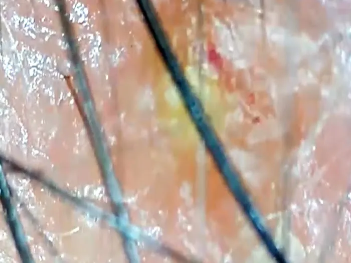 Dr. Barber Chicago Picture 8