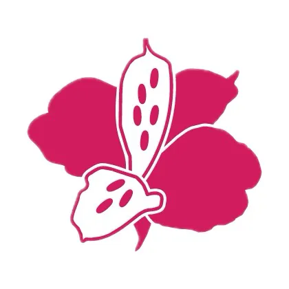 Chayito’s Spa Picture 4