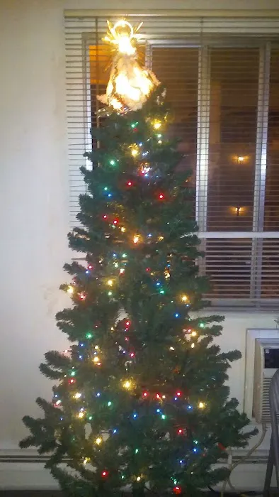 SCALP AND SKIN SOLUTIONS Picture 8