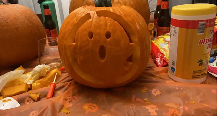 Velvet Esthetics Picture 1