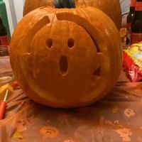 Velvet Esthetics ico