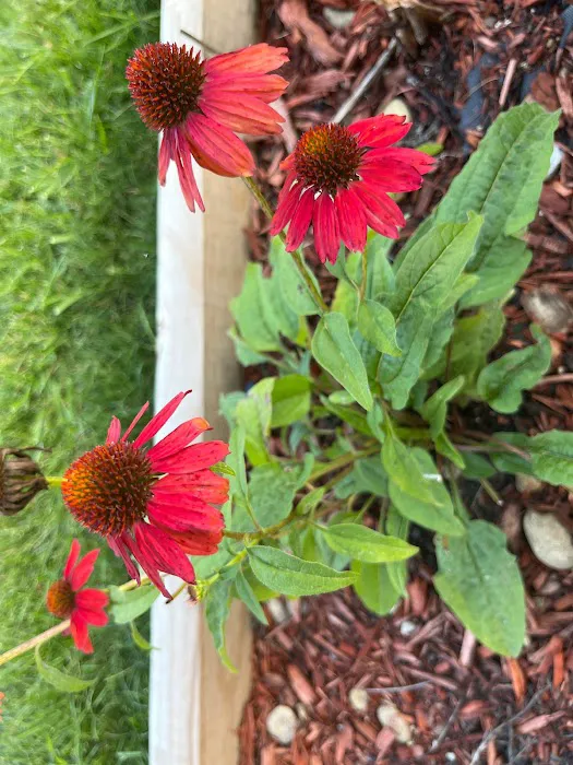 Essentially A&A Picture 4