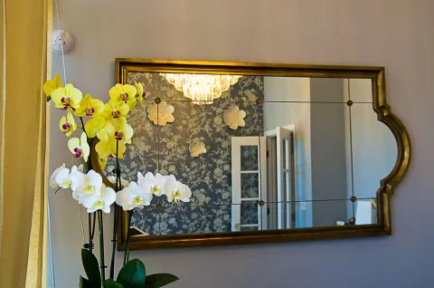 Opulence Skin Care & Med Spa Picture 6