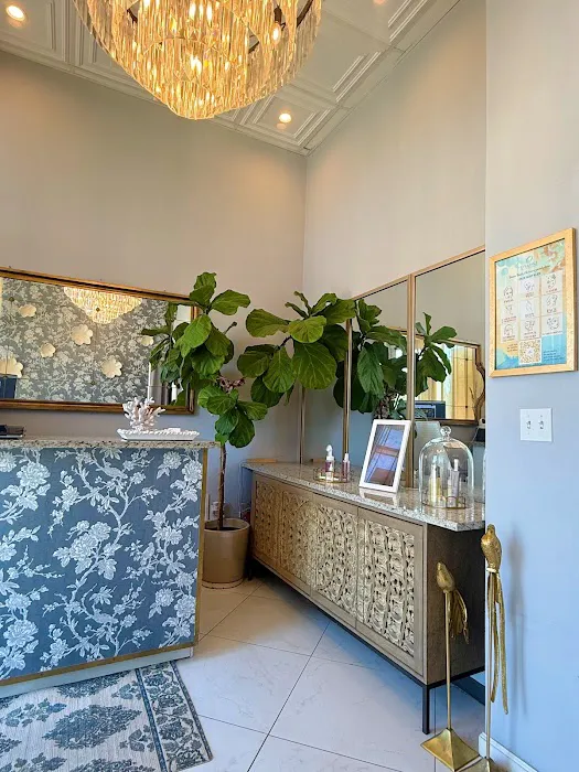 Opulence Skin Care & Med Spa Picture 5