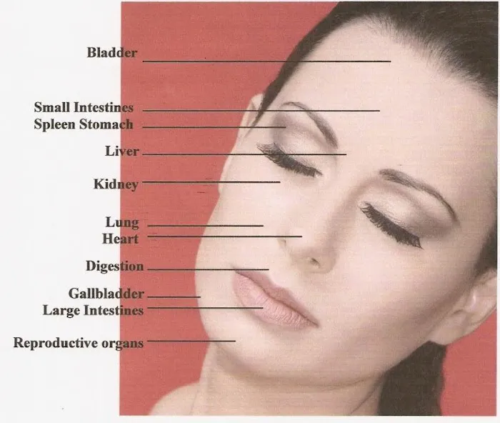 LillyFace Premium Skin Care Picture 3