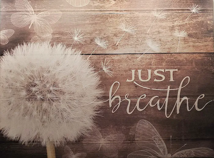 Vim + Vigor Skin Spa, LLC Picture 9