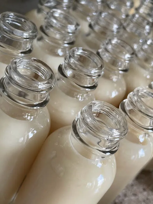 J. Alexandra's Studios Picture 5