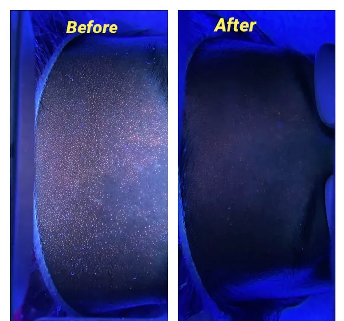 Advance Skincare by MaryM Picture 8