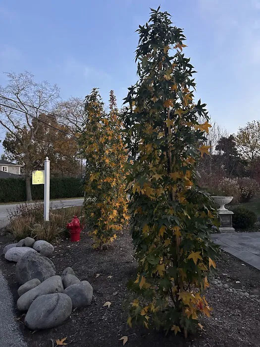 Milvani Holistic Spa Picture 6