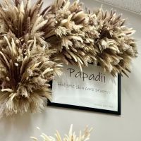 Papadii Holistic Skin Care Practice ico