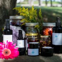 The Enlightened Skincare Clinic ico