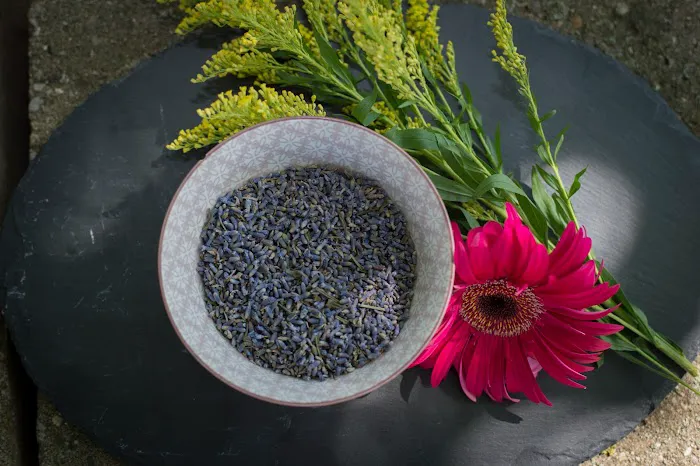 The Enlightened Skincare Clinic Picture 9