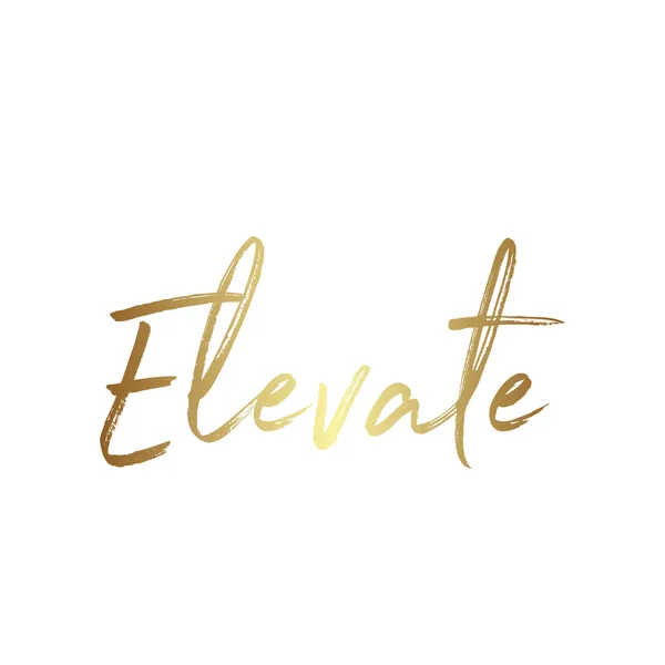 Elevate Aesthetics & Wellness Picture 2