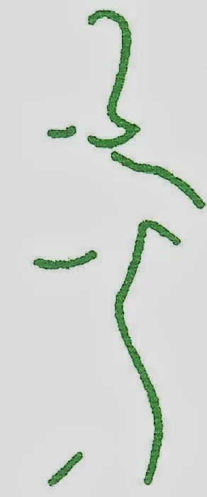 Monserrath Skin Care Clinic Picture 1