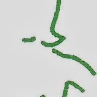 Monserrath Skin Care Clinic ico