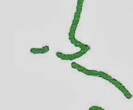 Monserrath Skin Care Clinic