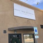 Olive Tree Aesthetics