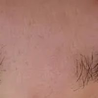 NVUS Brows & Skincare ico