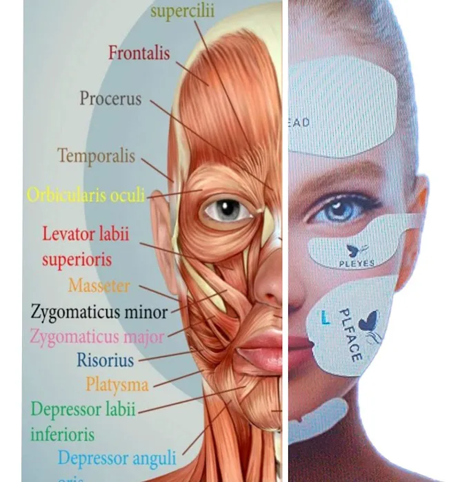 Vanish Laser & Skin Care Picture 2