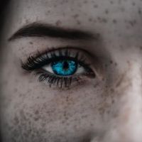 Beauty and the Brow ico