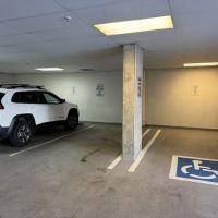 Alluvion Aesthetics ico