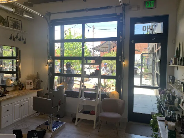 Copper and Sphynx Picture 2