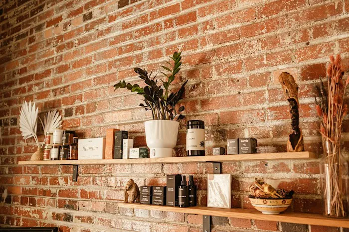 Copper and Sphynx Picture 3