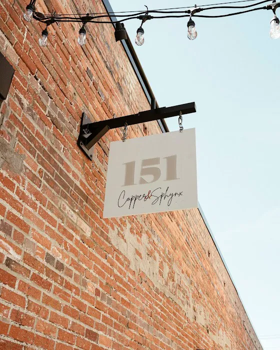 Copper and Sphynx Picture 1