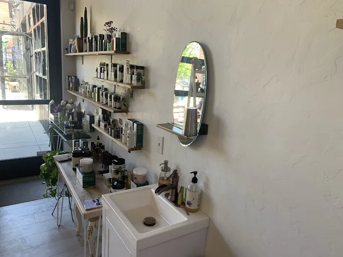 Copper and Sphynx Picture 4