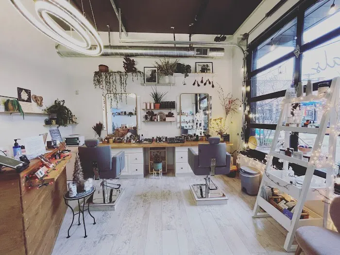 Copper and Sphynx Picture 7