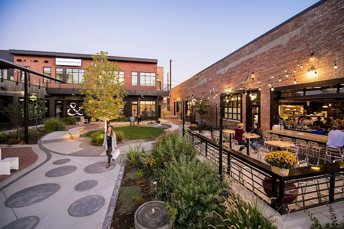 Copper and Sphynx Picture 5