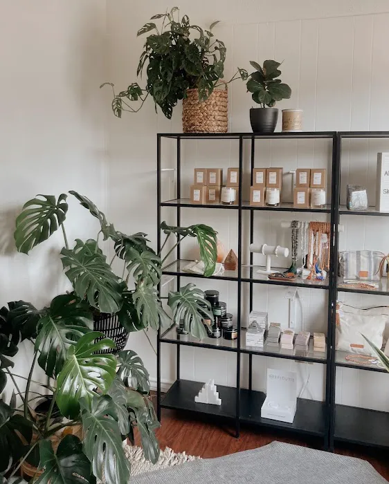 Signal Skin Science Picture 5