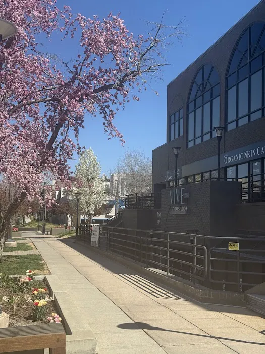 Susie Organic Skin Care LLC Picture 5