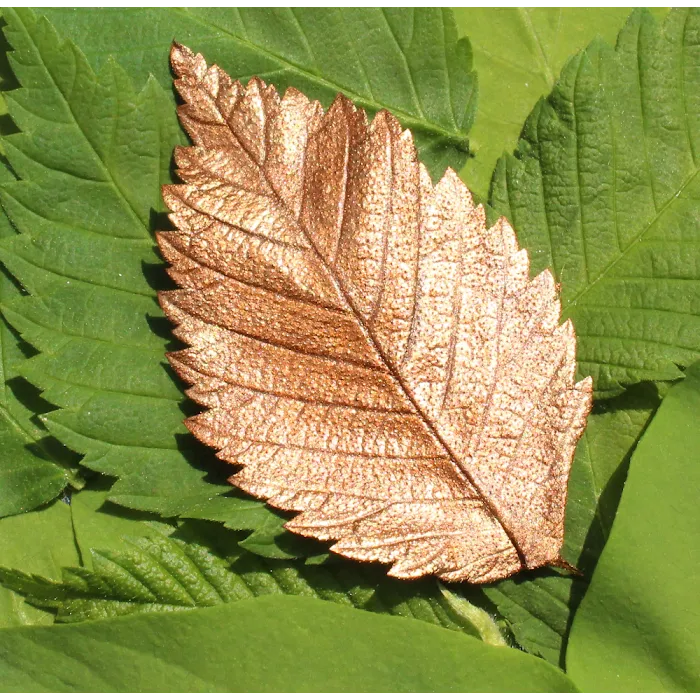 CopperLeaf Esthetics Picture 10