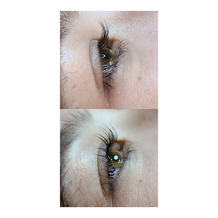 Celestial Esthetics Picture 5