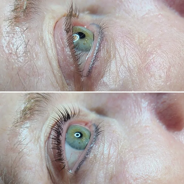 Celestial Esthetics Picture 2