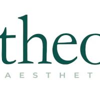 b theory aesthetics ico