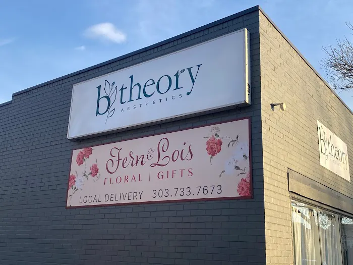 b theory aesthetics Picture 8