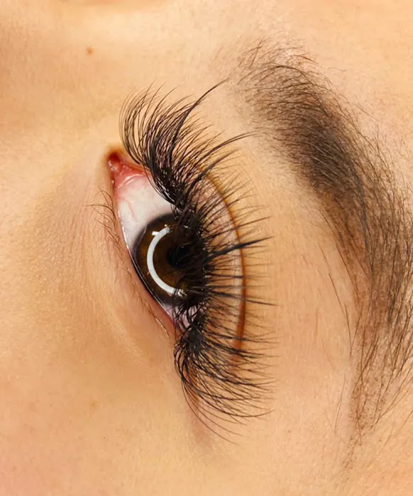 Glitz And Claws Picture 5